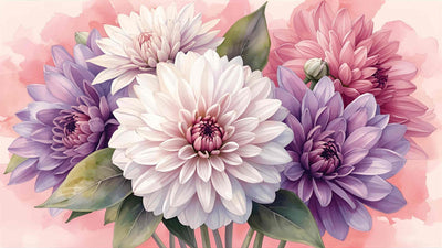 Chrysantheme - Geburtsblume im November