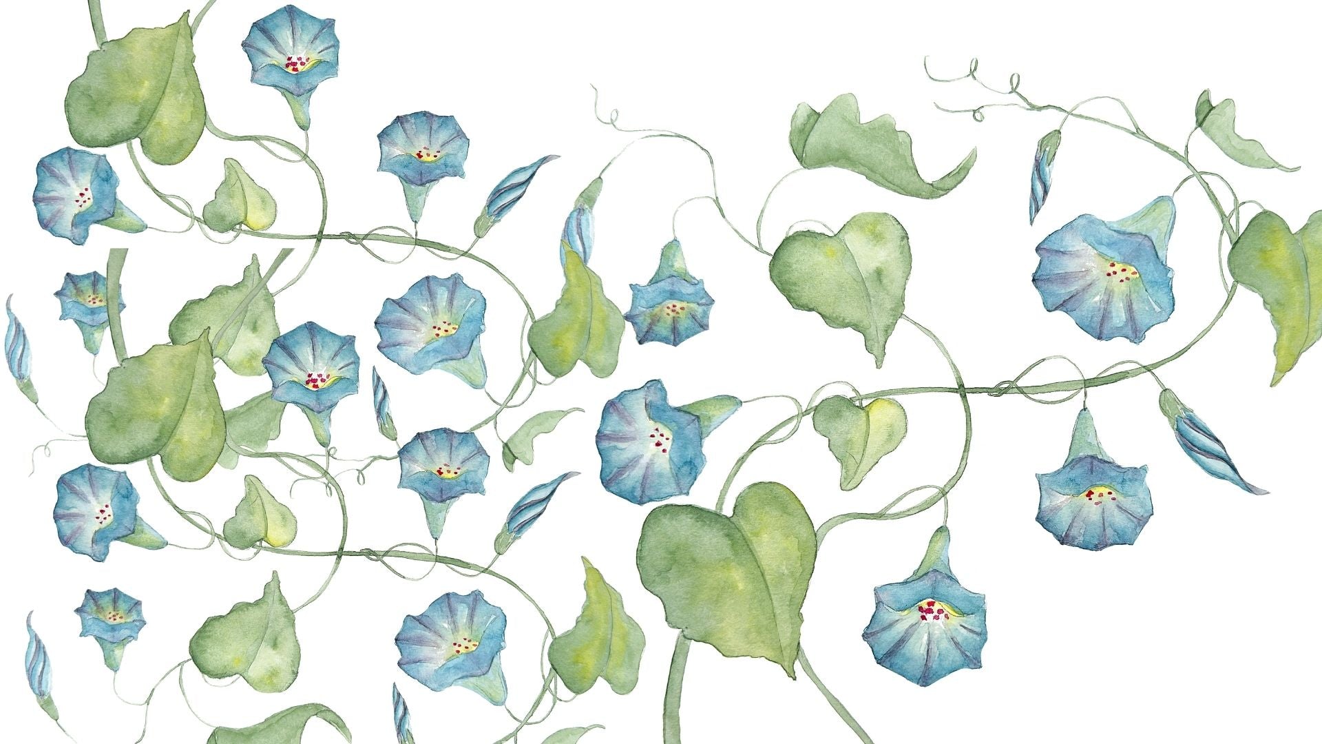 Winde im September: Das persönliche Geburtsgeschenk