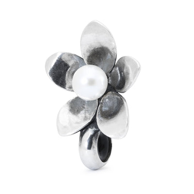 Anemone Silber Spacer TAGBE-00214