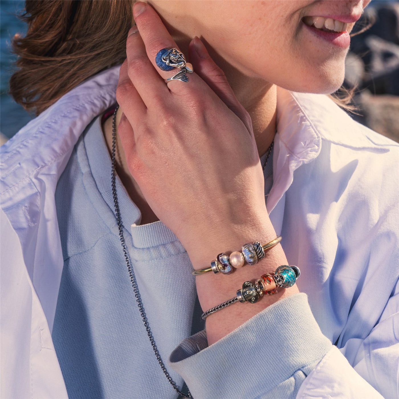 Delphin der Freundschaft