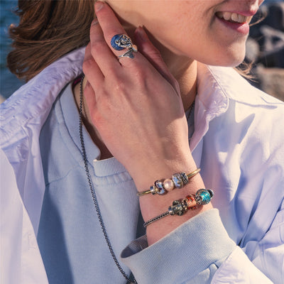 Delphin der Freundschaft